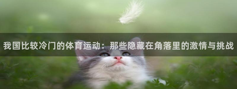 我国比较冷门的体育运动：那些隐藏在角落里的激情与挑战