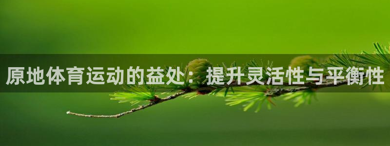原地体育运动的益处：提升灵活性与平衡性