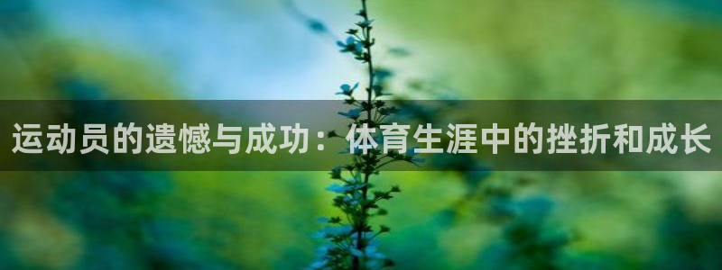 运动员的遗憾与成功：体育生涯中的挫折和成长