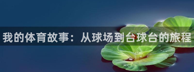 我的体育故事：从球场到台球台的旅程