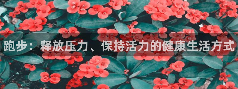 跑步：释放压力、保持活力的健康生活方式