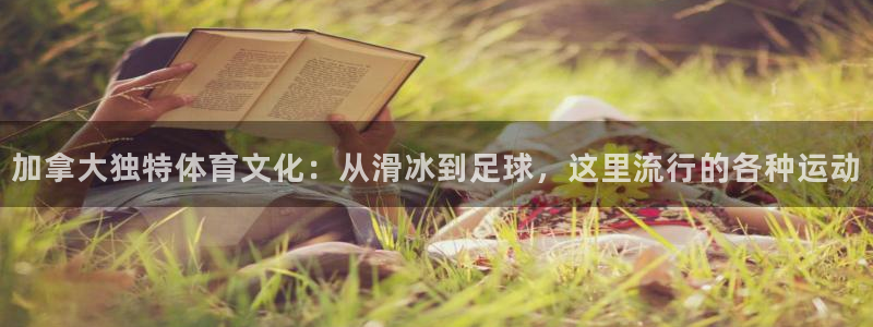 加拿大独特体育文化：从滑冰到足球，这里流行的各种运动