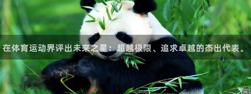 在体育运动界评出未来之星：超越极限、追求卓越的杰出代表。