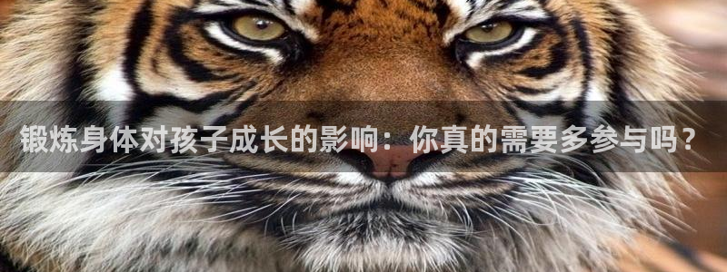 锻炼身体对孩子成长的影响：你真的需要多参与吗？