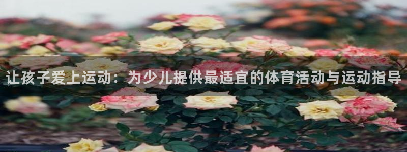 让孩子爱上运动：为少儿提供最适宜的体育活动与运动指导