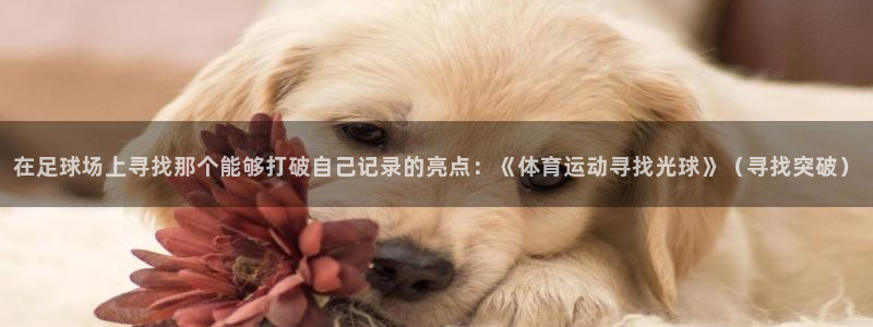 在足球场上寻找那个能够打破自己记录的亮点：《体育运动寻找光球》（寻找突破）