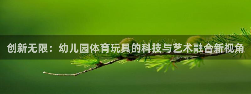 创新无限：幼儿园体育玩具的科技与艺术融合新视角