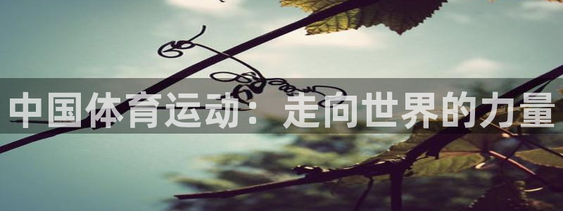 中国体育运动：走向世界的力量