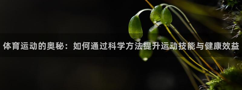 体育运动的奥秘：如何通过科学方法提升运动技能与健康效益