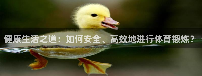 健康生活之道：如何安全、高效地进行体育锻炼？