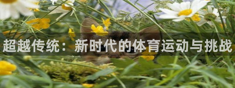 超越传统：新时代的体育运动与挑战