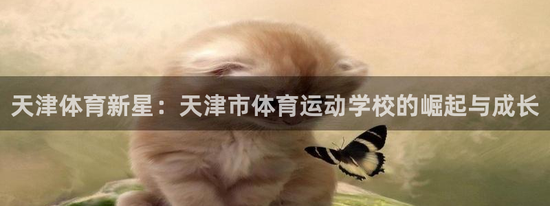天津体育新星：天津市体育运动学校的崛起与成长