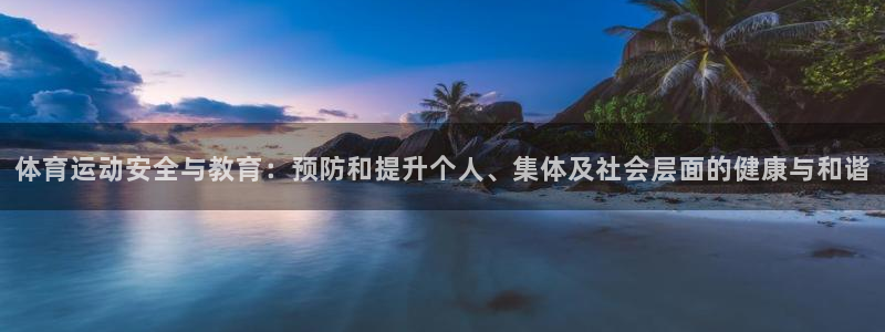 体育运动安全与教育：预防和提升个人、集体及社会层面的健康与和谐