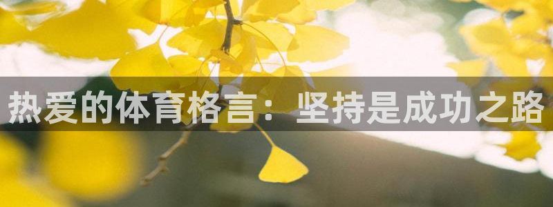 热爱的体育格言：坚持是成功之路