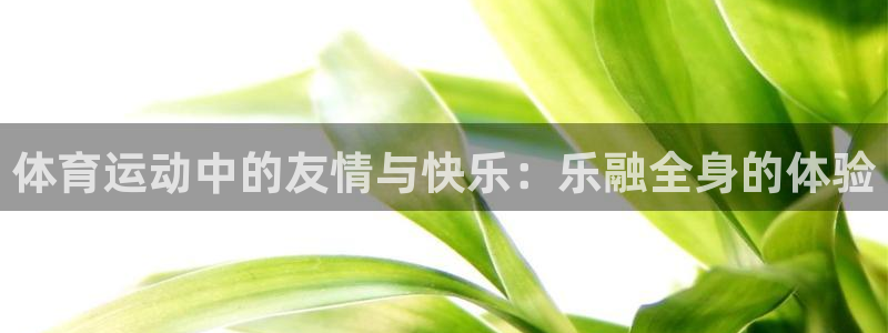 体育运动中的友情与快乐：乐融全身的体验