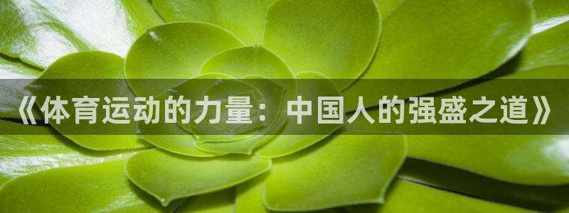 《体育运动的力量：中国人的强盛之道》